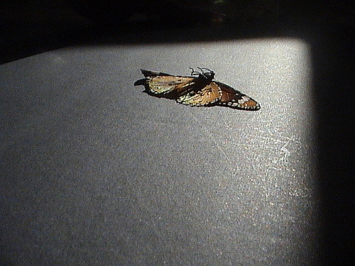 Why Suicide is More Appealing Today than&nbsp;Yesterday