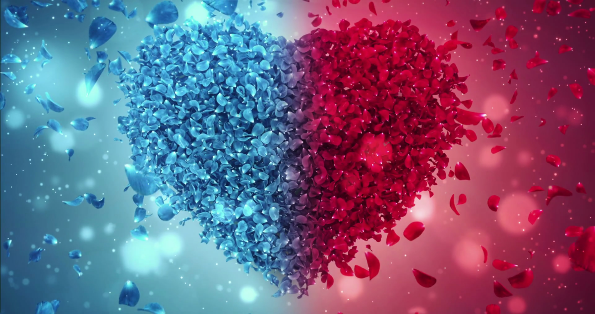 Our Most Sensible&nbsp;Division